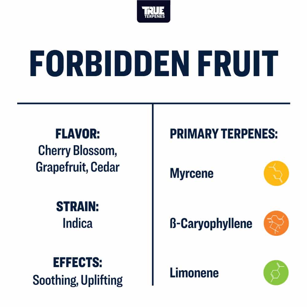 Forbidden Fruit | Terpenes UK | 5ml