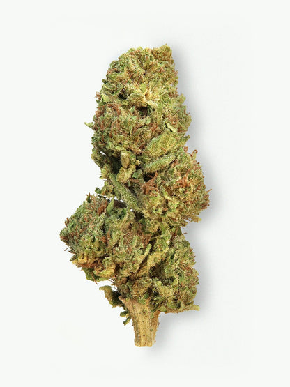 Main picture of Gelato CBD flowers