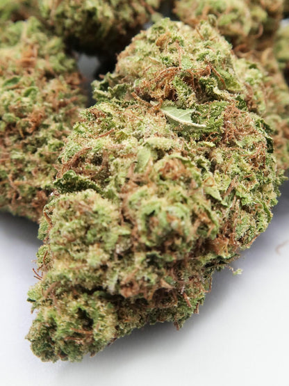 "Gelato" Hemp Flowers (8-13% CBD)
