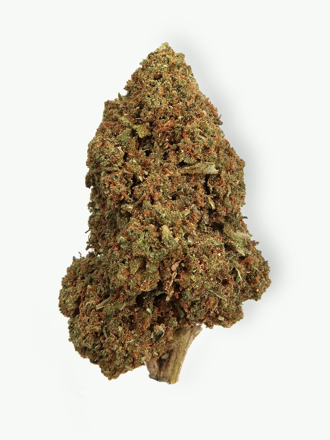 Main Picture of Gorilla Glue CBD flowers