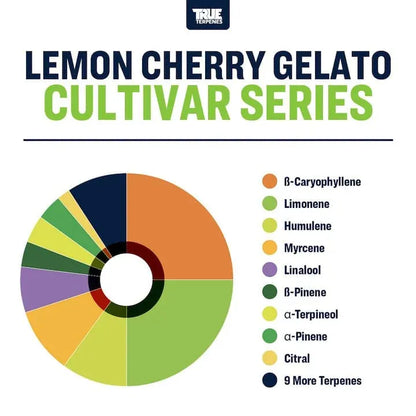 Lemon Cherry Zelato | Terpenes UK | 5ml