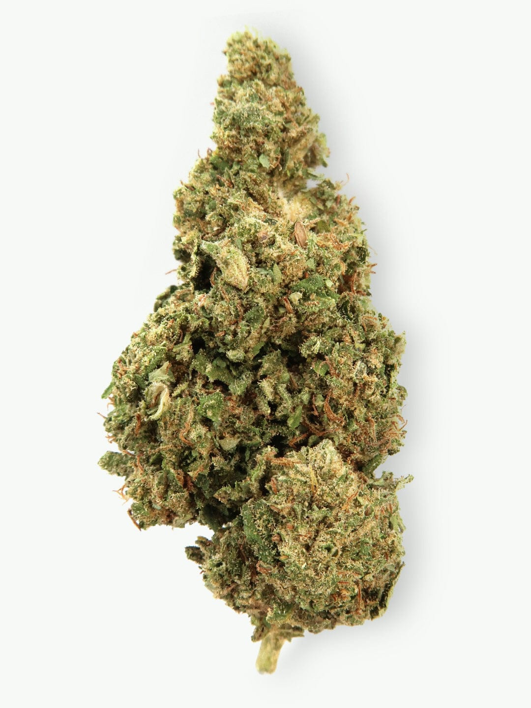 Limoncello Budget CBD Hemp Flower | (8-12% CBD)