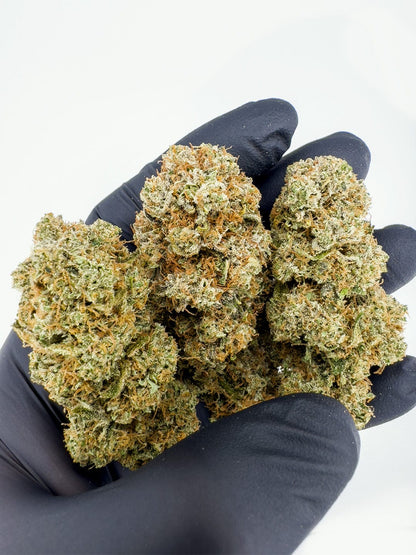 Mango Velvet #5 13% CBD Hemp Flower | LIMITED STRAIN