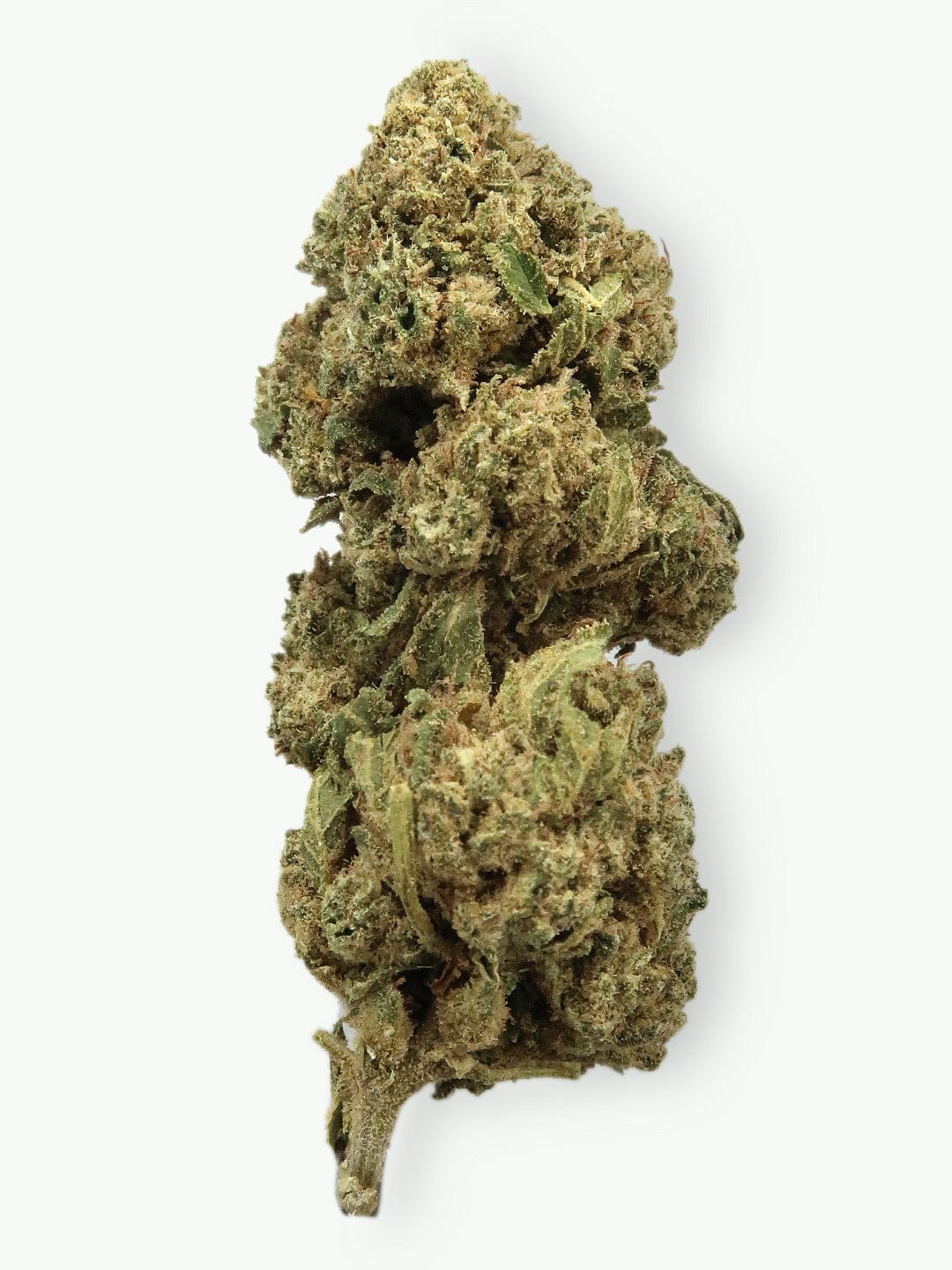 Mango Velvet #5 13% CBD Hemp Flower | LIMITED STRAIN