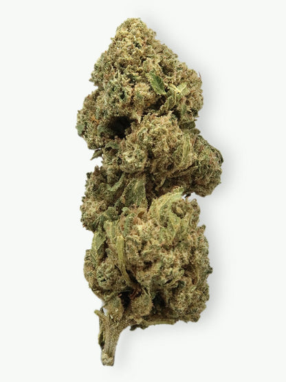 Mango Velvet #5 13% CBD Hemp Flower | LIMITED STRAIN