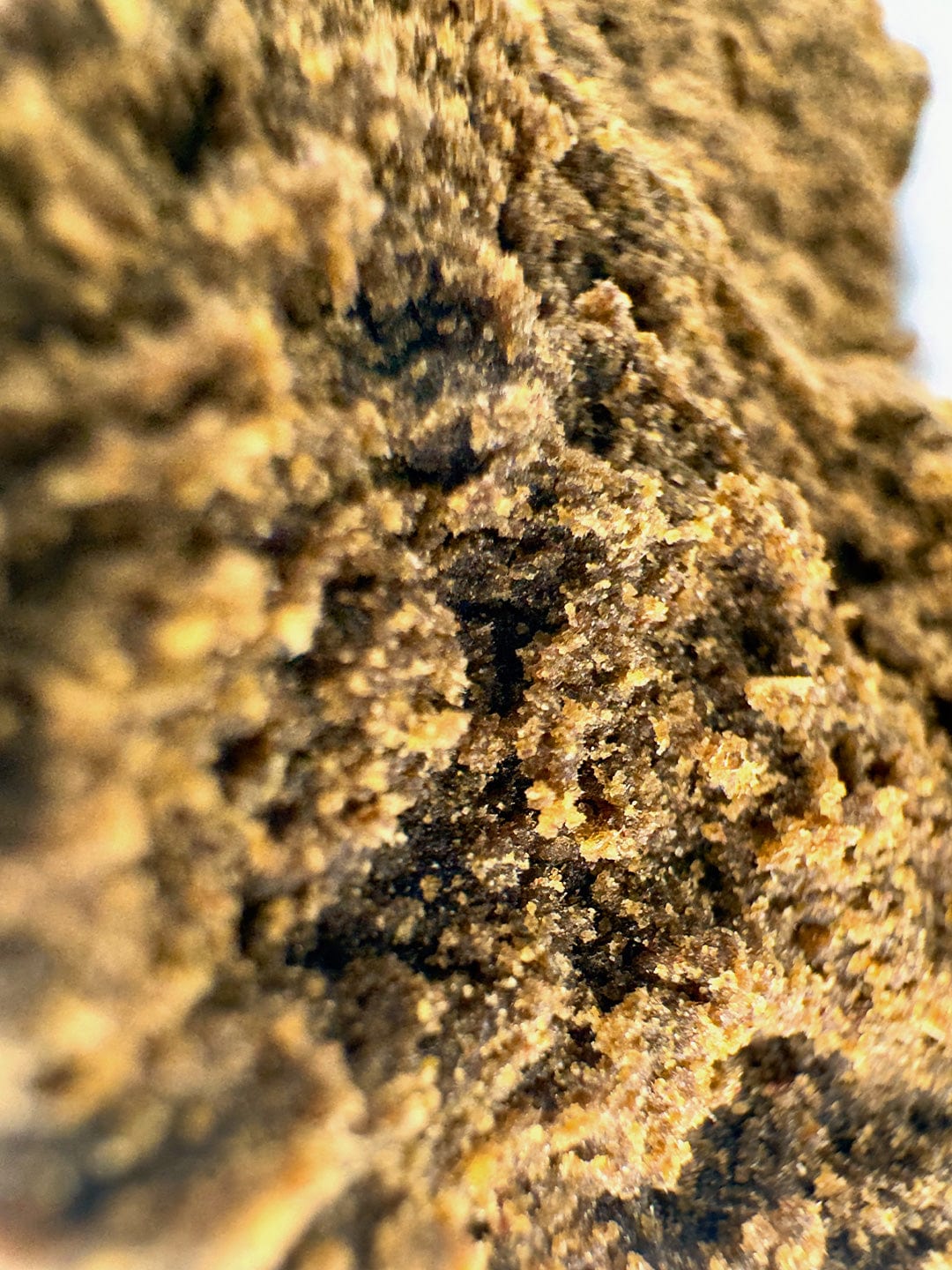 Mango Kush Afghan Hash UK - 22% CBD | AAAA Grade