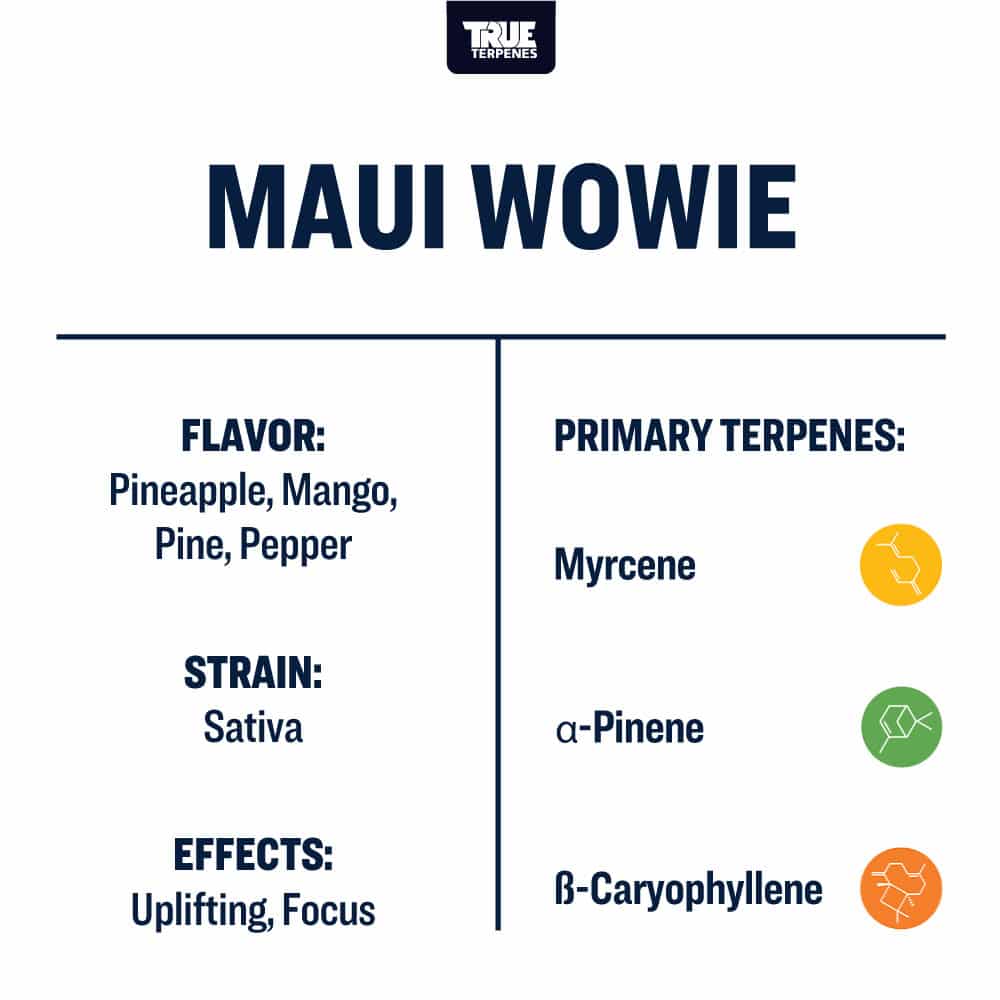 Maui Wowie | Terpenes UK | 5ml - HempElf.com