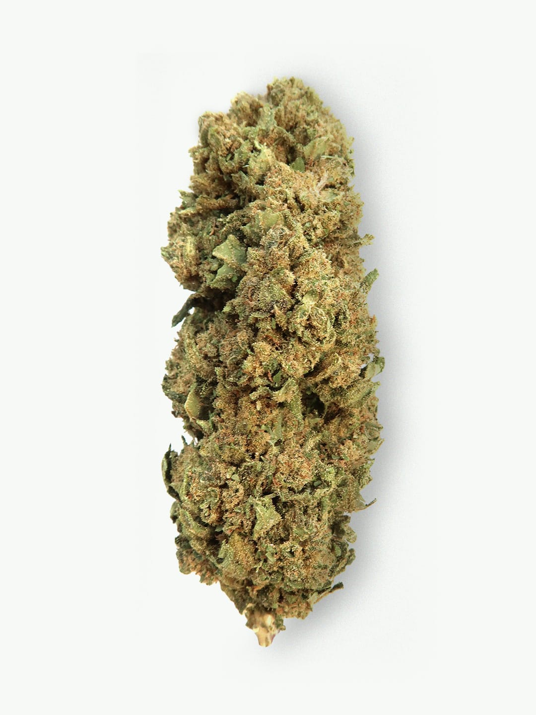 A close-up of a HempElf Milkshake Budget CBD Flower (8-13% CBD) showing trichomes and green, orange, brown hues.