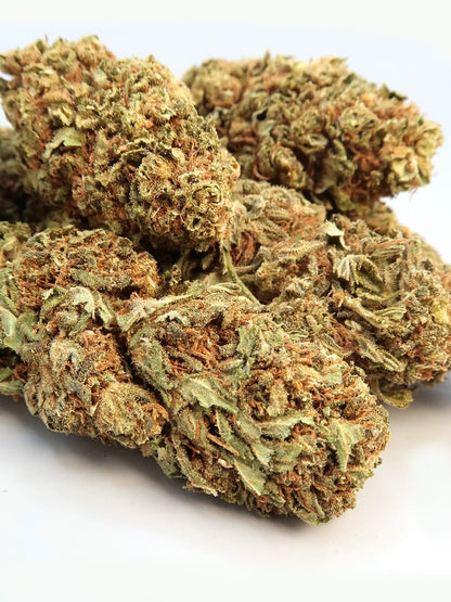Magnified Mountain Berry CBD Flower