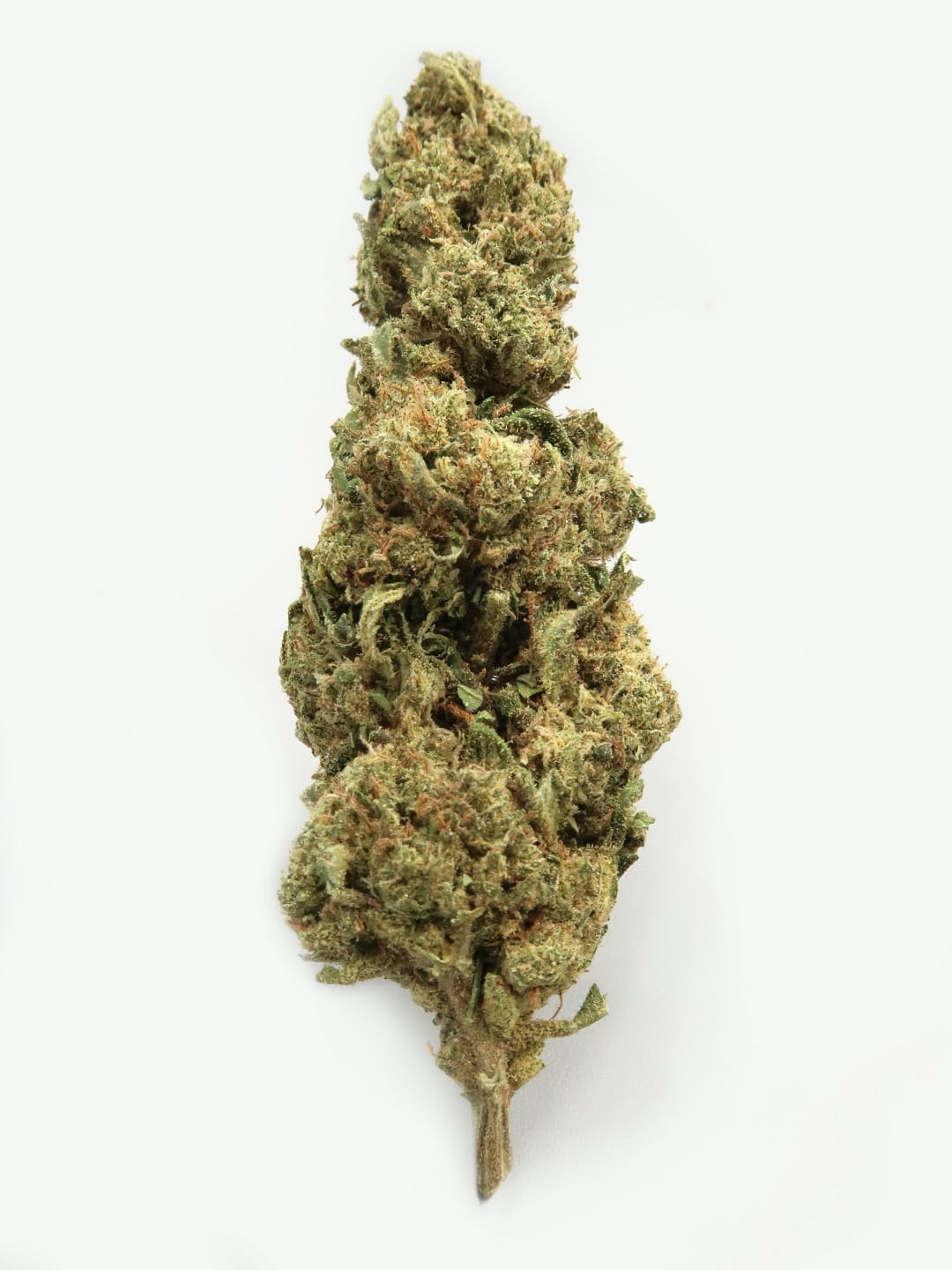 Main  Picture of OG Kush CBD flowers