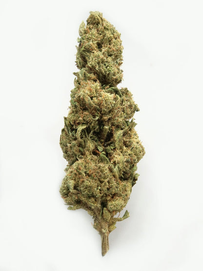 Main  Picture of OG Kush CBD flowers