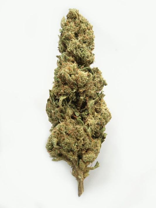 Main  Picture of OG Kush CBD flowers