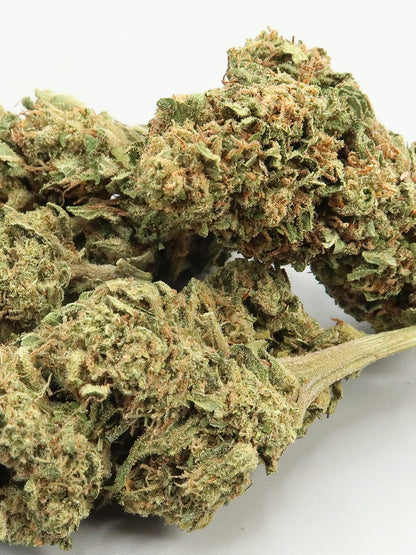 Close up of OG Kush CBD flowers