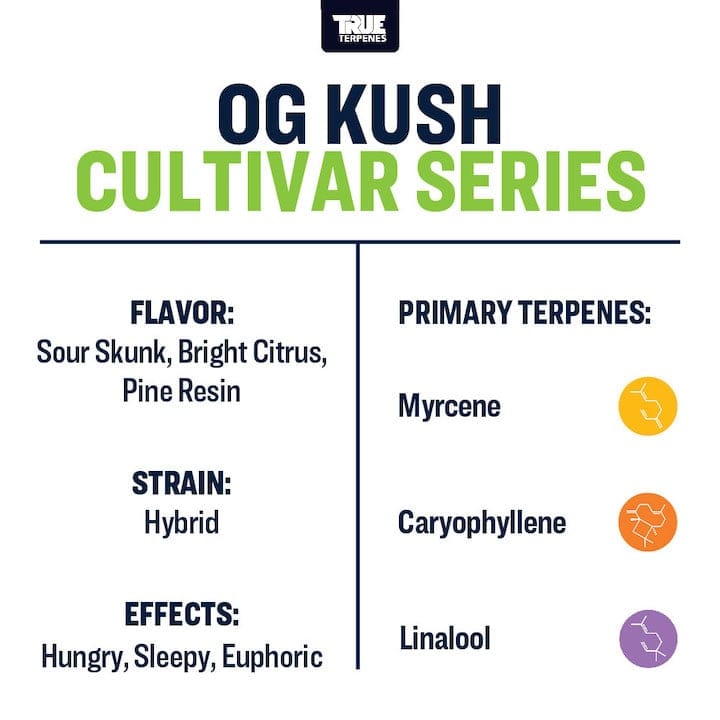 OG Kush | Terpenes UK | 5ml