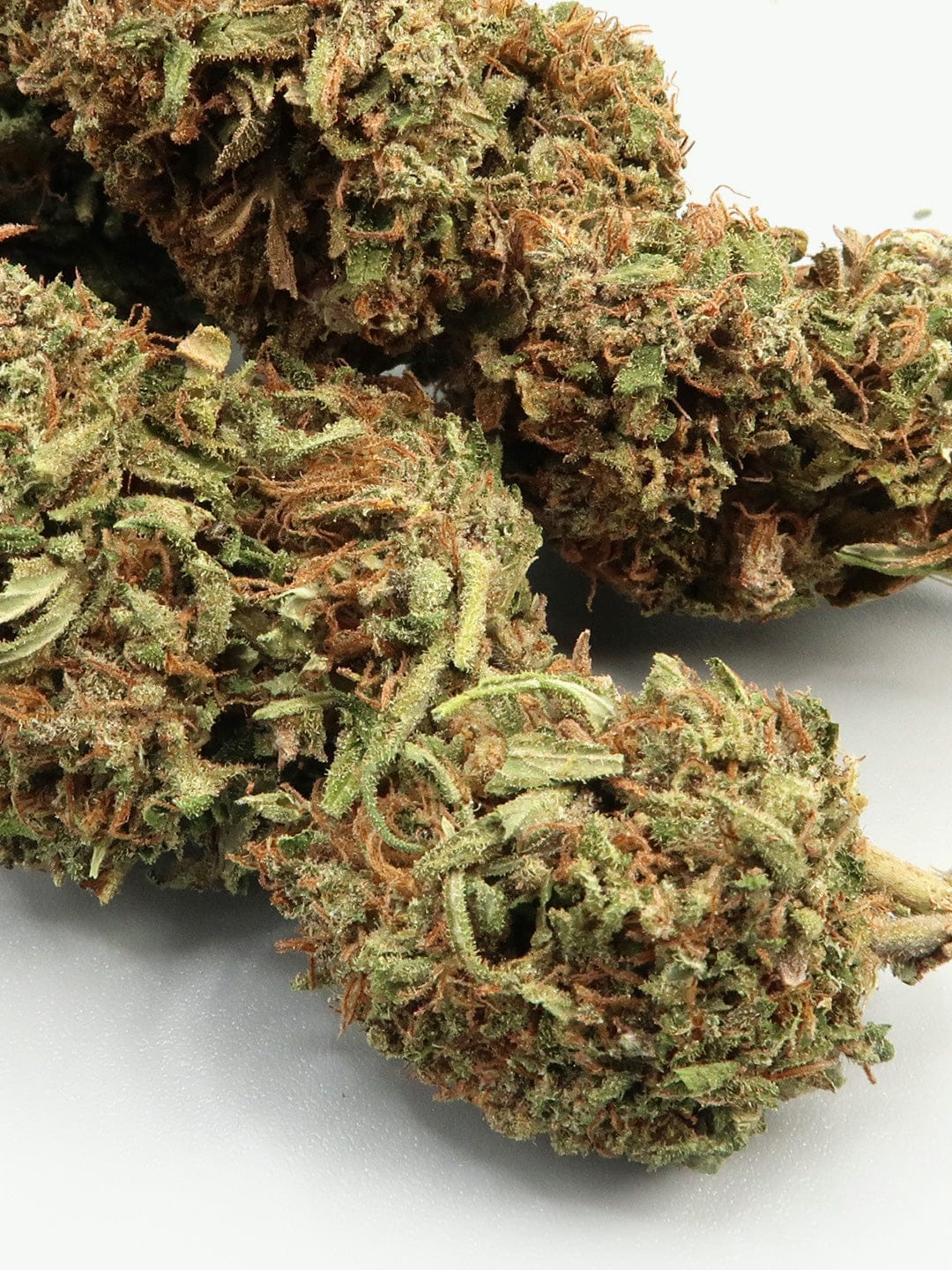 Orange Cookies Hemp Flowers (8-13% CBD)