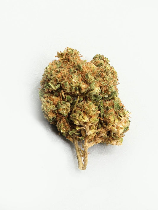 Orange Cookies CBD Flower
