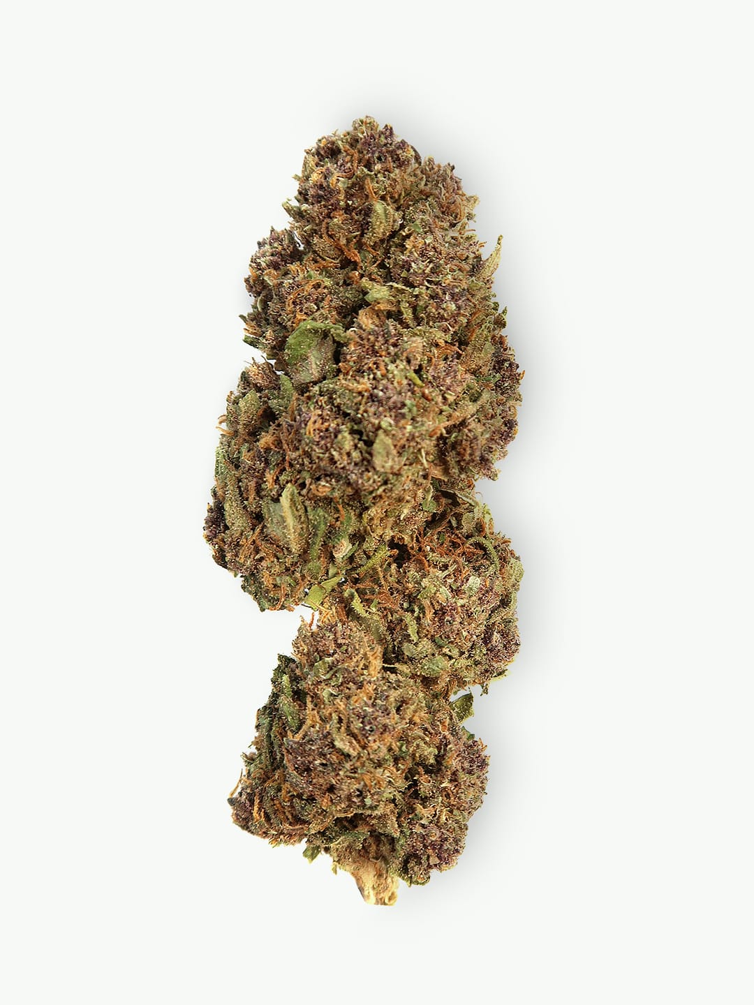 Main picture  of Purple Kush CBD flowers
