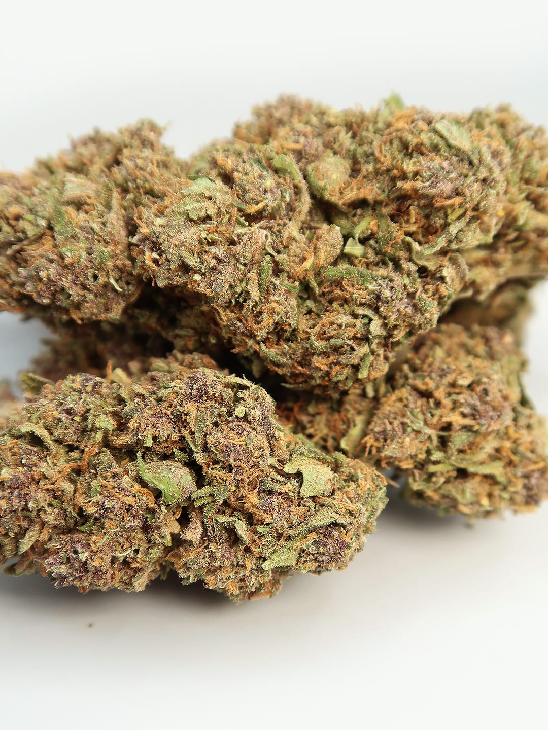 close up  of Purple Kush CBD flowers