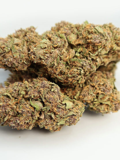 close up  of Purple Kush CBD flowers