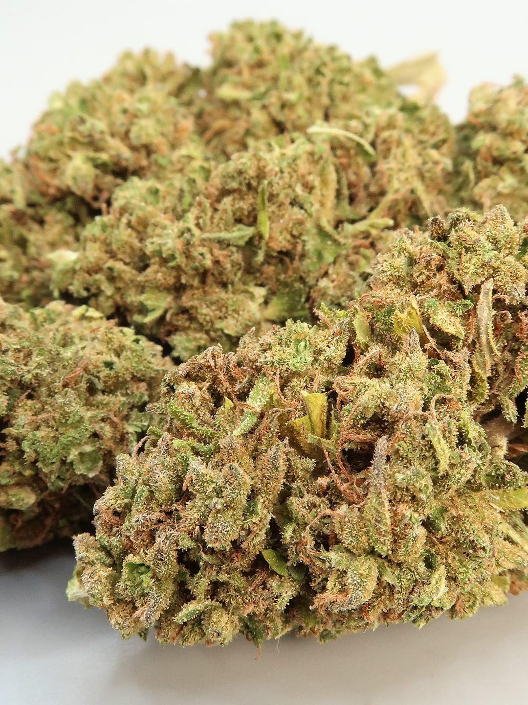 Close up of Queen Rose CBD flowers