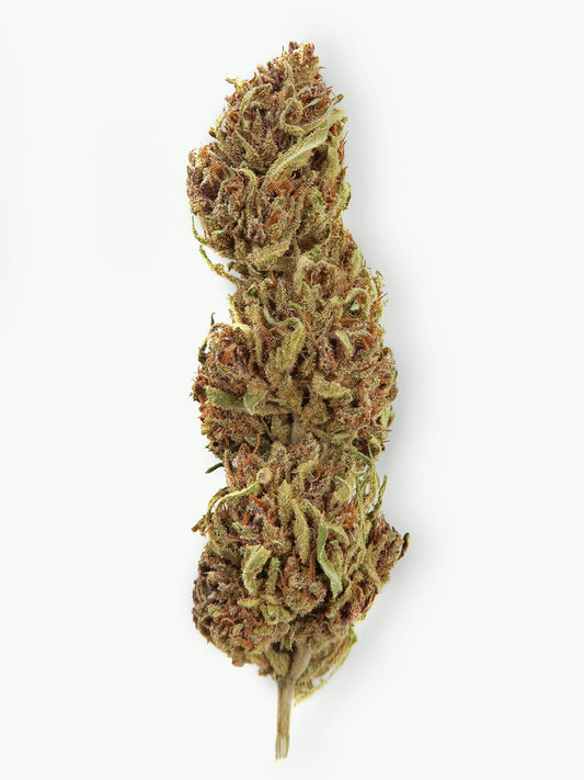 A single HempElf Sour Diesel CBD Budget Hemp Flower bud (8-13% CBD) with orange hairs and green leaves.