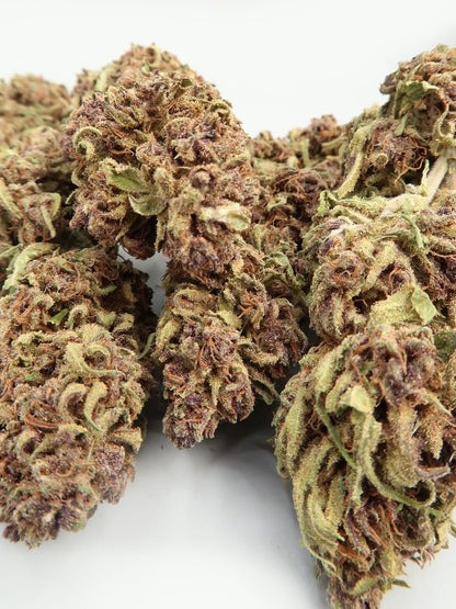 Close-up of Sour Diesel CBD Budget Hemp Flower (8-13% CBD) by HempElf, showing trichomes on a white background.