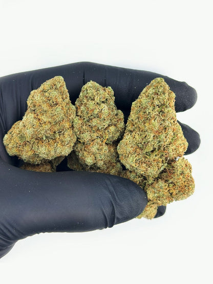 Biscotti 13% CBD Hemp Flower | 3.5g | LIMITED STRAIN