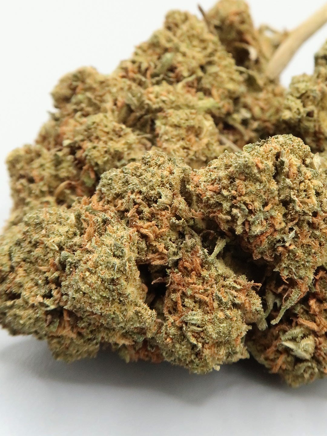 Pineapple Cheesecake CBD Flower Close up