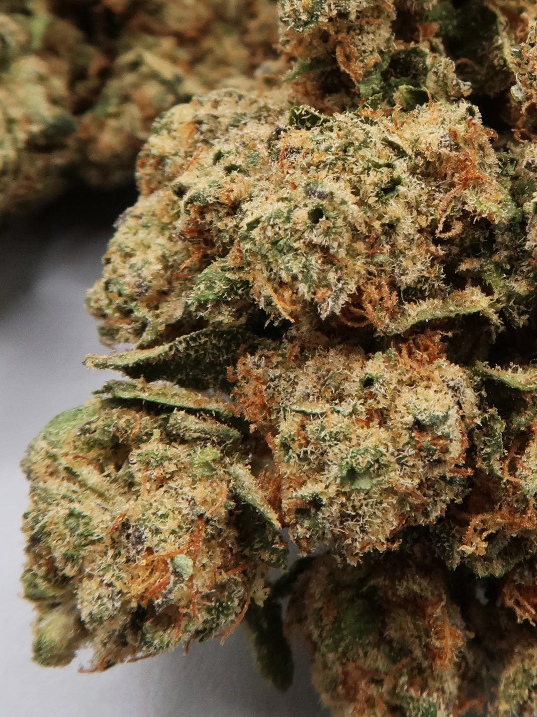 Tropical Frost Bite CBD Flower Close up