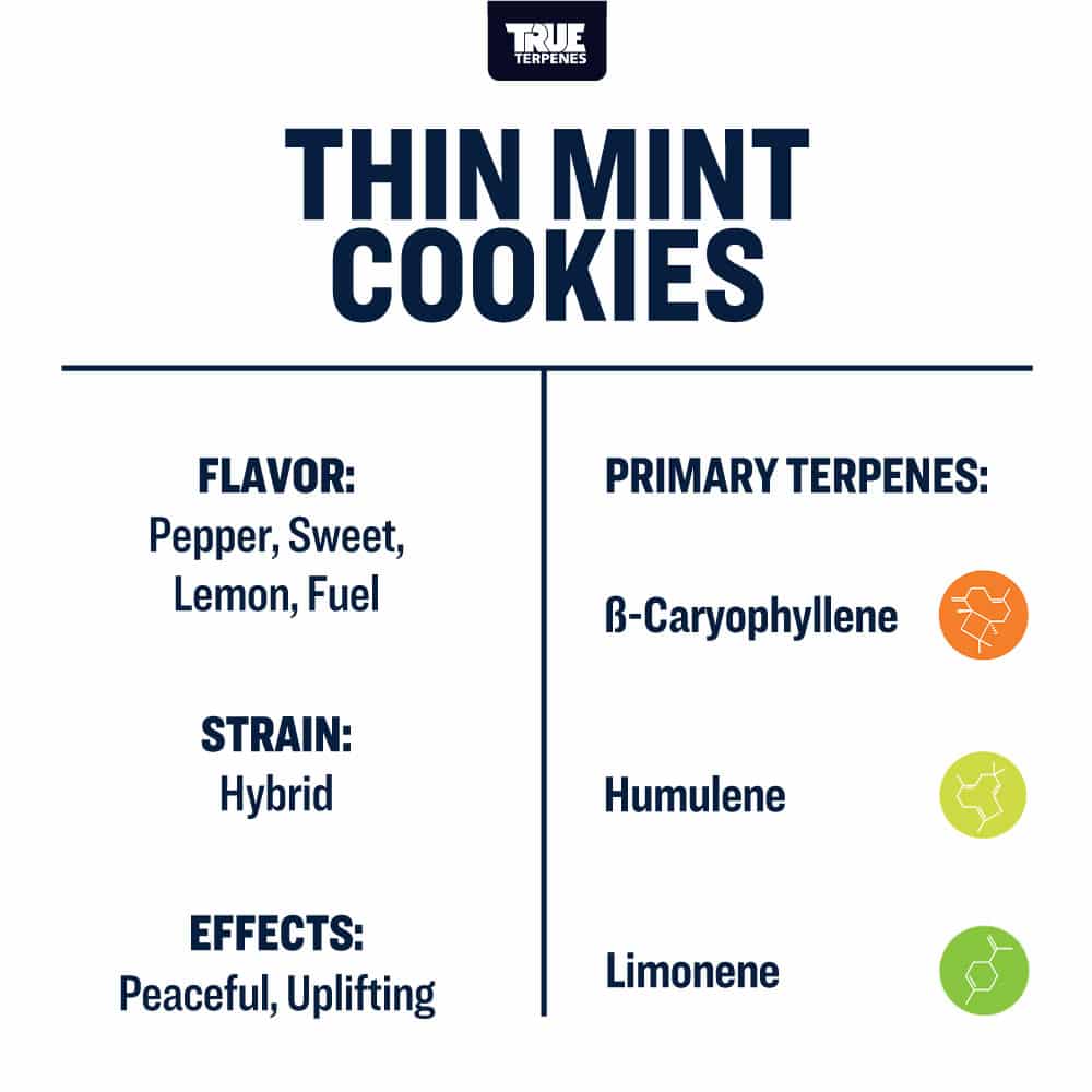 Thin Mint Cookies | Terpenes UK | 5ml