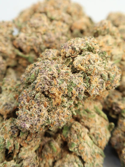 cbd flower white widow zoomed in