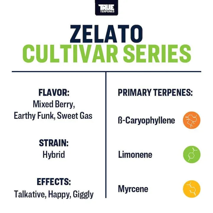 Zelato | Terpenes UK | 5ml