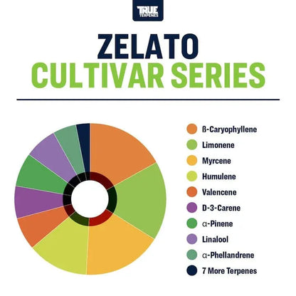 Zelato | Terpenes UK | 5ml