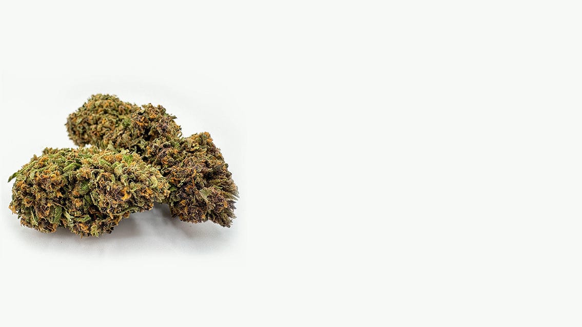 CBD UK & EU - HempElf CBD | 100% Organic & 3rd Party Lab Tested HempElf.com CBD UK & EU - HempElf CBD | 100% Organic & 3rd Party Lab Tested HempElf.com