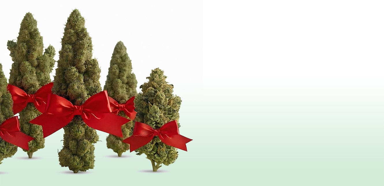 it’s better <span>in a bundle</span>