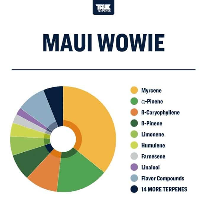 【10ml】Maui Wowie／TrueTerpenesテルペン　香料　CBD Maui Wowie – Vibrant Sativa Energy & Tropical Bliss | TERPHOUSE