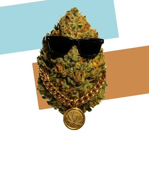 og <br>strains <i>classic prices</i>