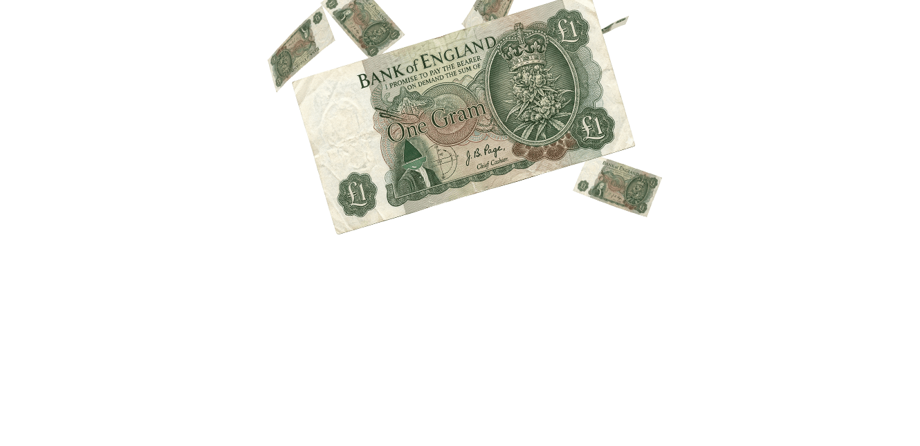 <span>the</span> pound a gram <i>is Back!</i>