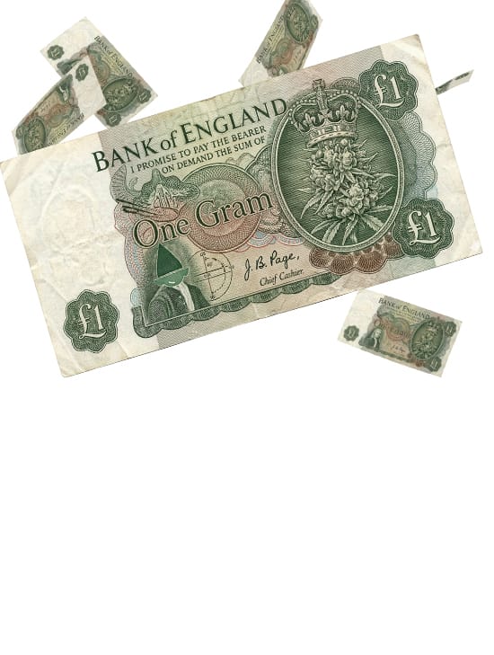 <span>the</span> pound a gram <i>is Back!</i>