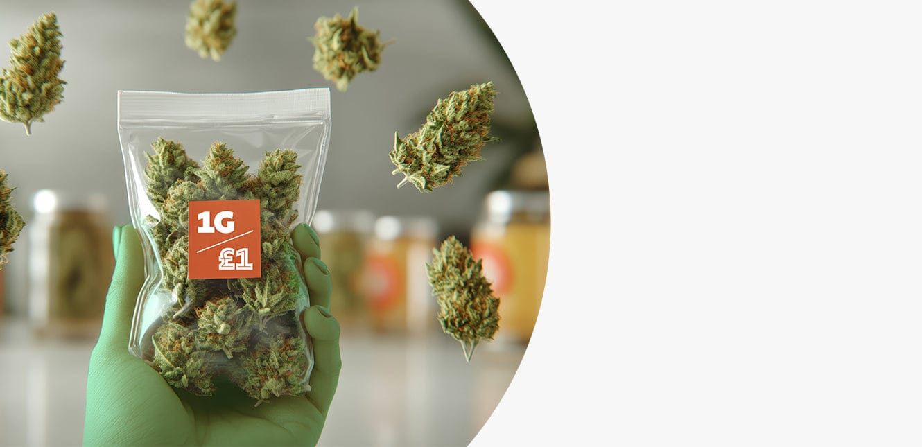 <span>the</span> pound a gram <i>is back!</i>