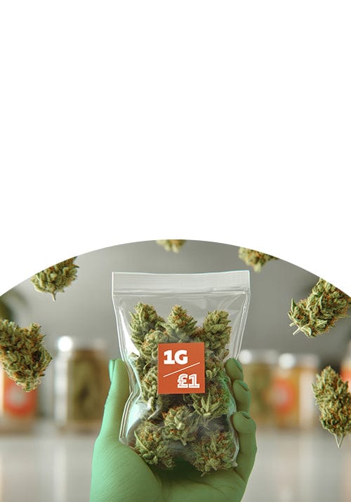 <span>the</span> pound a gram <i>is back!</i>