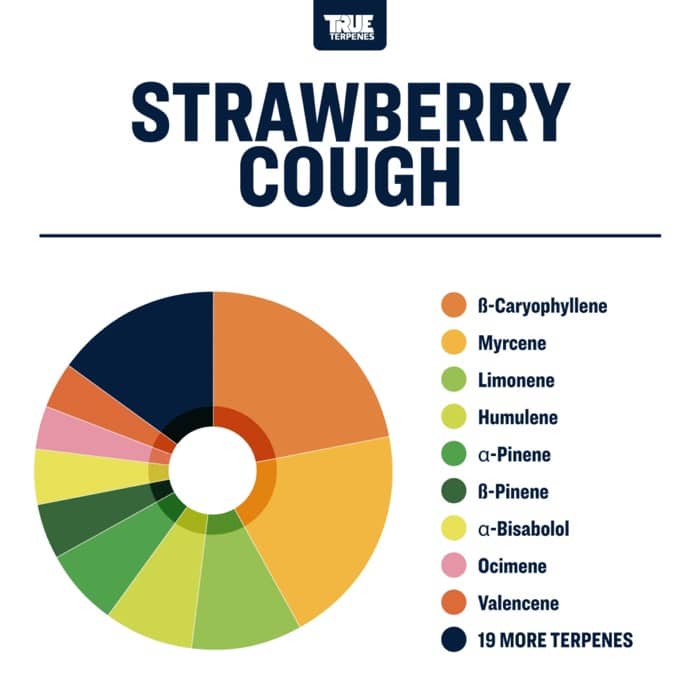 Strawberry Cough | Terpenes UK | 5ml