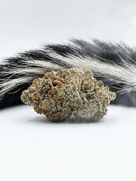 Super <span>skunk</span>