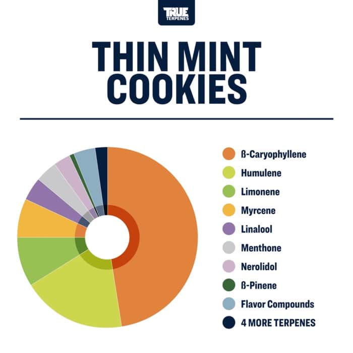 Thin Mint Cookies | Terpenes UK | 5ml