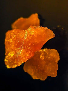 pumpkin cbd wax close up