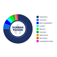 Durban Poison | Terpenes UK | 2ml