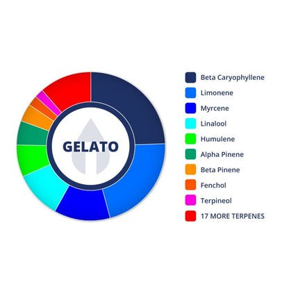 Gelato | Terpenes UK | 2ml