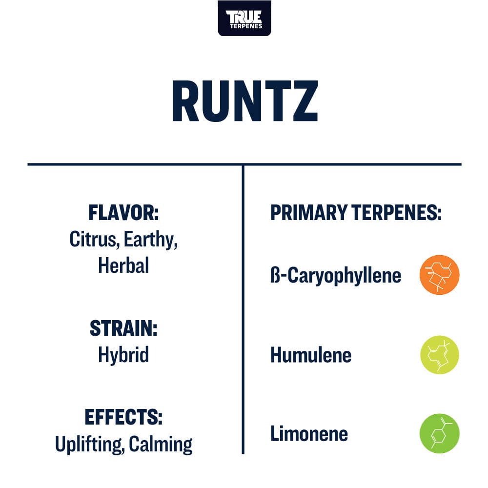 Runtz | Terpenes UK | 2ml – HempElf.com