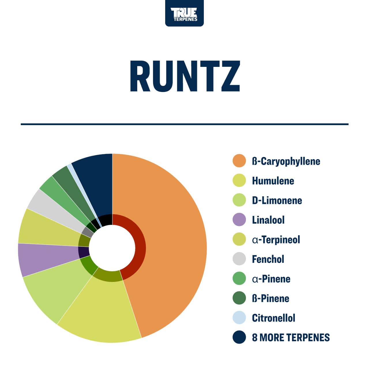 Runtz | Terpenes UK | 2ml – HempElf.com