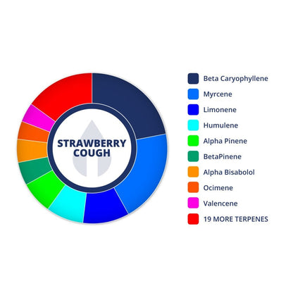Strawberry Cough | Terpenes UK | 2ml